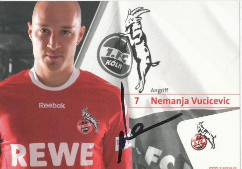 Nemanja Vucicvevic  2008/09  FC Köln  Fußball  Autogrammkarte original signiert 