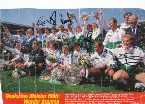 SV Werder Bremen  1987/1988  Mannschaftsbild Fußball original signiert 